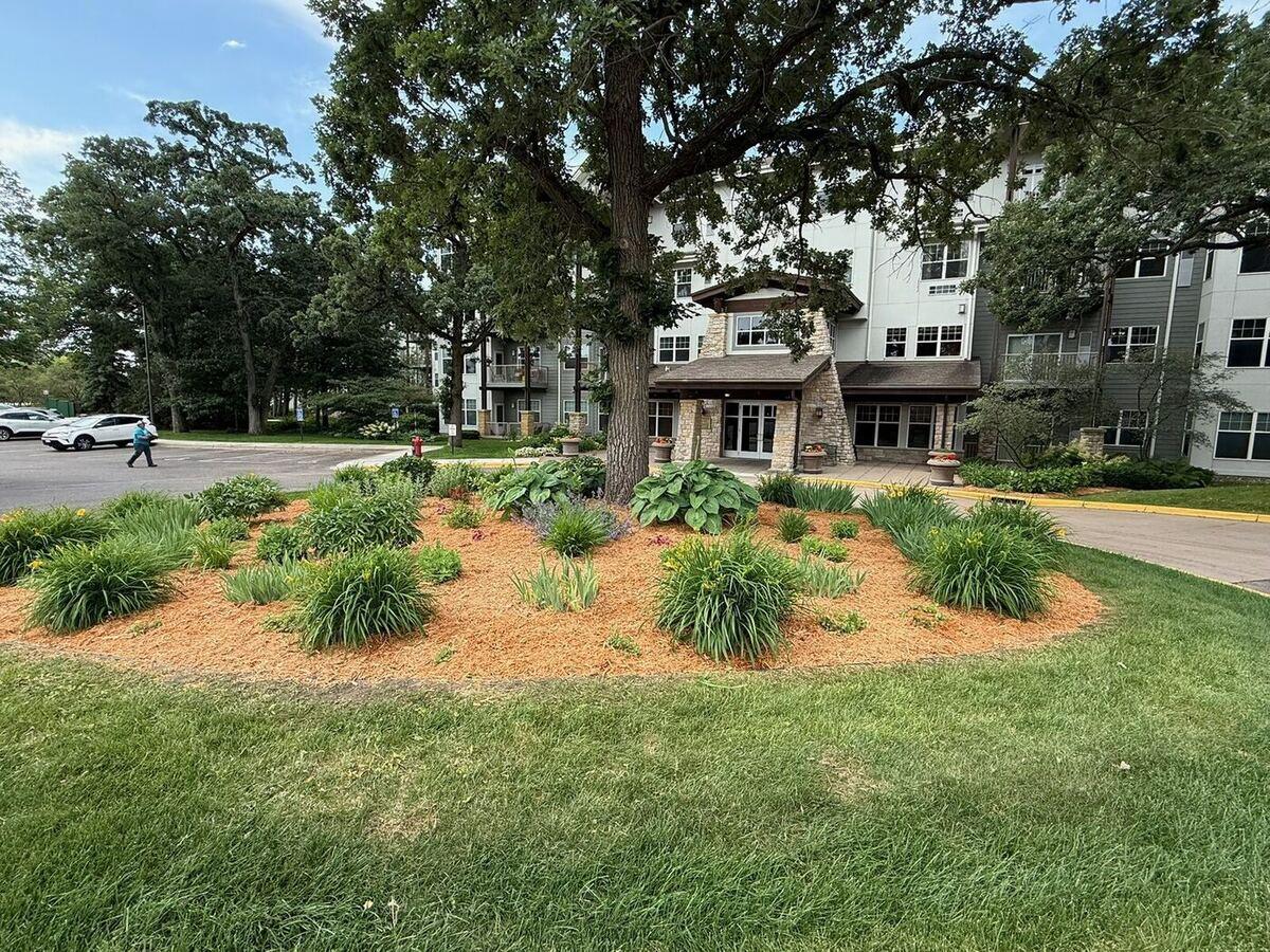 Mulch Bed Around a Shade Tree
