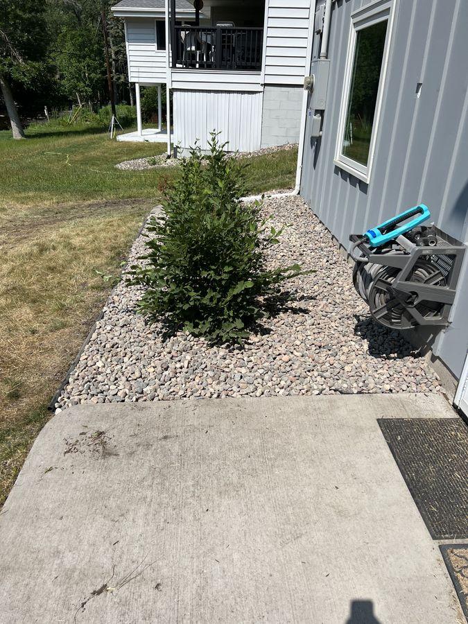 Shrubbery & Gravel