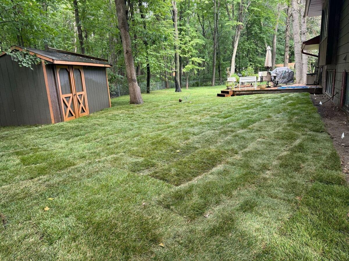 Fresh Sod Backyard