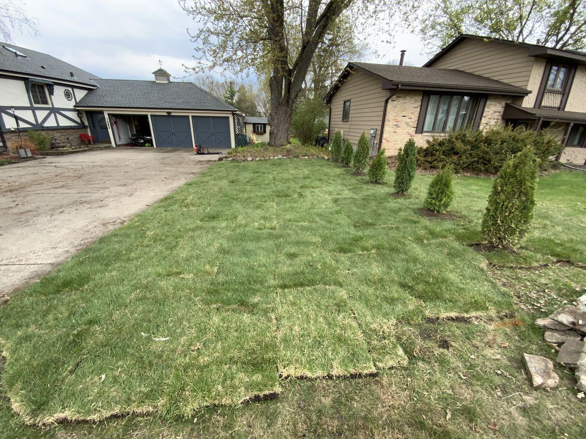 New Sod Installation
