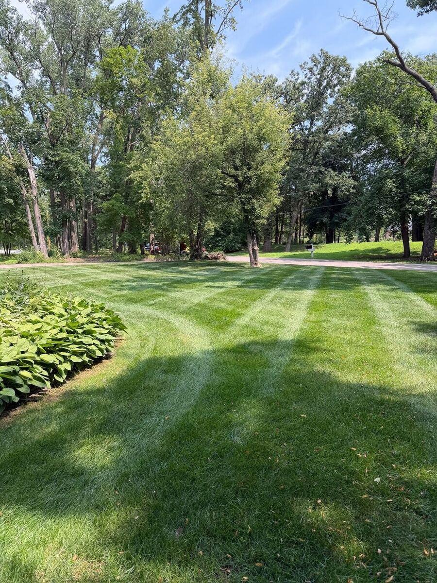 Striped Lawn Mowing