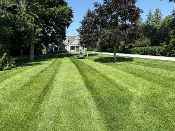 Professional lawn maintenance crew