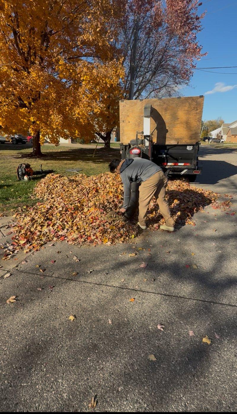 Spring and fall lawn cleanup service